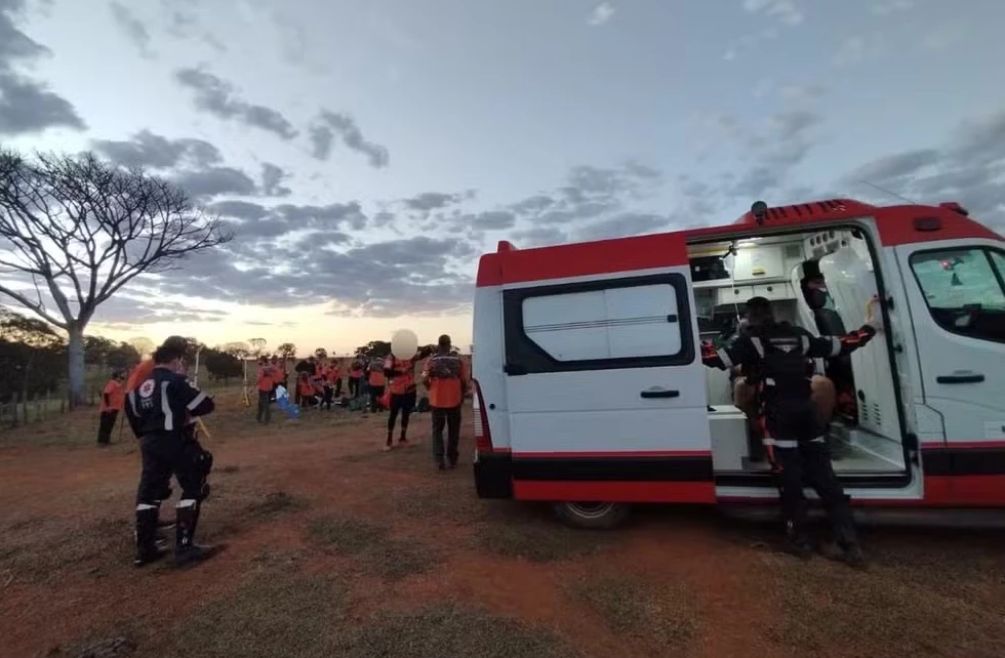 ataque de abelhas deixa participantes hospitalizados