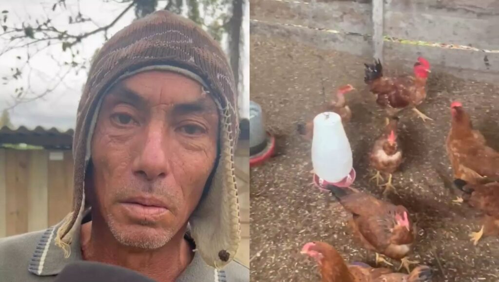 mulher invade galinheiro para ritual macabro